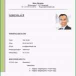 Beste 37 Genial Professioneller Lebenslauf Vorlage Word Bilder