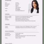 Beste 48 Vorlagen Lebenslauf Muster Bewerbung Einfacher Schritt