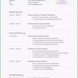 Beste 77 Lebenslauf Muster &amp; Vorlagen Kostenlos Zum Download