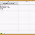 Beste 9 Einnahmen Ausgaben Excel Vorlage Kleinunternehmer