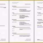 Beste 9 Lebenslauf Erzieherin Muster 2013