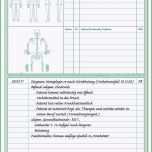 Beste Befund Physiotherapie Vorlage – Free Vorlagen