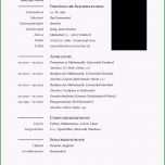 Beste Berufseinsteiger Lebenslauf Nach Studium Muster