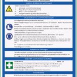 Beste Betriebsanweisungen Efas Evangelische Fachstelle Für