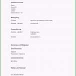 Beste Bewerbungsformular Vorlage Dokument Blogs