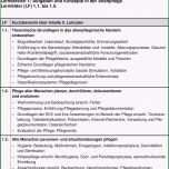 Beste Biografie Schreiben Muster Ideen Biografie Vorlage Für