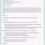 Beste Curriculum Vitae Englisch Vorlage Driverlayer Search Engine