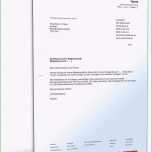 Beste Die Fabelhaften Kündigung Mitgliedschaft Verein Pdf