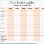 Beste Ernährung Erfolgreich Umstellen Ernährungstagebuch Und