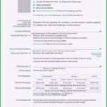 Beste Europass Lebenslauf Vorlage