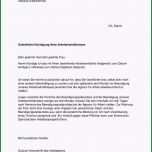 Beste Kündigung Entega Vorlage 17 Ideen 2019