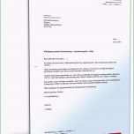 Beste Kündigung Versicherung