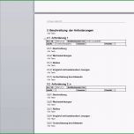 Beste Lastenheft Vorlage Download
