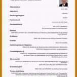 Beste Lebenslauf Akademiker Vorlage