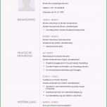 Beste Lebenslauf Muster 12