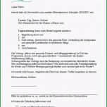 Beste Materialien Das Gesunde Boot