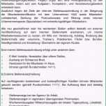 Beste Mitarbeiter Gesucht Vorlage Finest Mitarbeiter Im