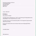 Beste Neu Kündigungsbestätigung Arbeitgeber Muster