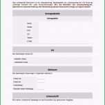 Beste Newsletter Vorlage Kostenlos Kreative Vorlage Fur