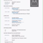 Beste Professioneller Lebenslauf Tipps Zur Optimierung
