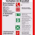 Beste Rettungsplan Gross
