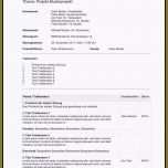 Beste Schön Protokoll Muster