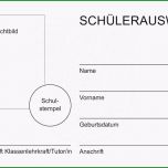 Beste Schülerausweis Brandenburg Scheckkartenformat Seibert