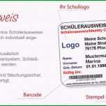 Beste Schülerausweis