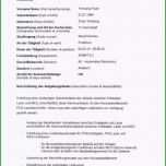 Beste Steckbrief Kindergarten Praktikum Vorlage Steckbrief