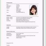 Beste Tabellarischer Lebenslauf Beispiel 2