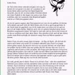 Beste Trauerbriefe – Informationen Zu Trauerbriefen Im todesfall