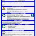Beste Unterweisung Vorlage Word Best Betriebsanweisung