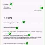 Beste Vorlage Kündigung Arbeit Neu 5 Kündigung Schreiben Muster