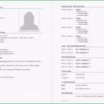 Beste Vorlage Lebenslauf Tabellarischer Lebenslauf Schweiz