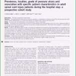 Beste Wunddokumentation Vorlage