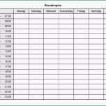 Einzahl 11 Ernährungsprotokoll Vorlage Word