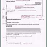 Einzahl 12 Reklamation Vorlage Word