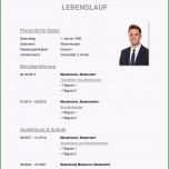 Einzahl 12 Undergraduate Tabellarischer Lebenslauf Vorlage Word