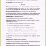 Einzahl 13 Arbeitszeugnis Kaufmännische Angestellte Sehr Gut