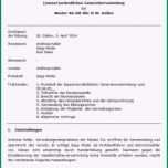 Einzahl 13 Protokoll Vorlage