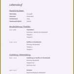 Einzahl 14 Bewerbung Koch Ausbildung