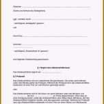 Einzahl 14 Kündigung 450 Euro Job