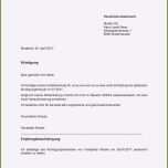 Einzahl 14 Kündigungsschreiben Vorlage Verein