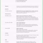 Einzahl 15 Beispiel Amerikanischer Lebenslauf Resume Muster
