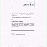 Einzahl 15 Bescheinigung Ehrenamtliche Tätigkeit