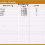 Einzahl 15 Fahrtenbuch Vorlage Word