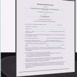 Einzahl 15 Kündigung Garage Vorlage