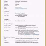 Einzahl 15 Lebenslauf Klassisch