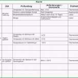 Einzahl 15 Putzplan Vorlage Kostenlos