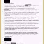 Einzahl 15 Schriftliche Stellungnahme Vorlage